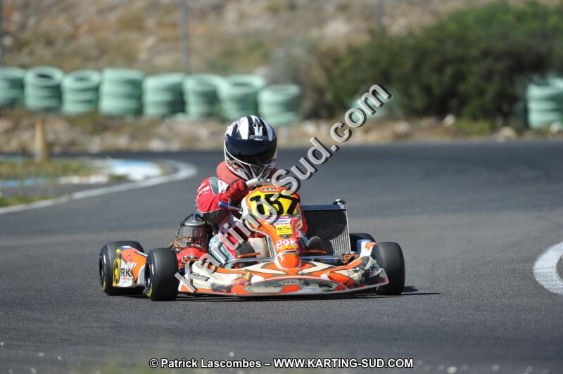 DSC (795).JPG